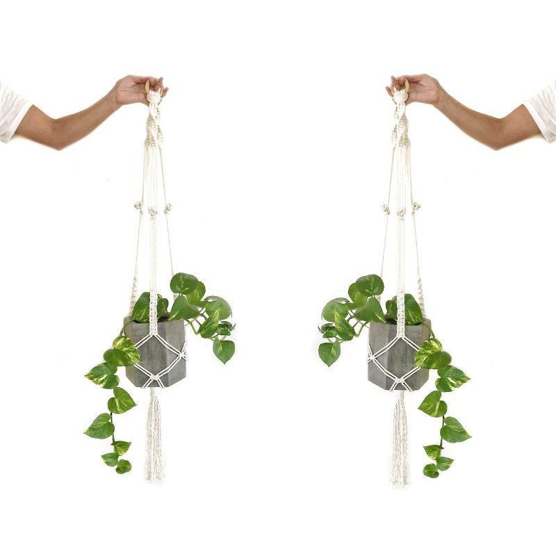 Plant Hanger