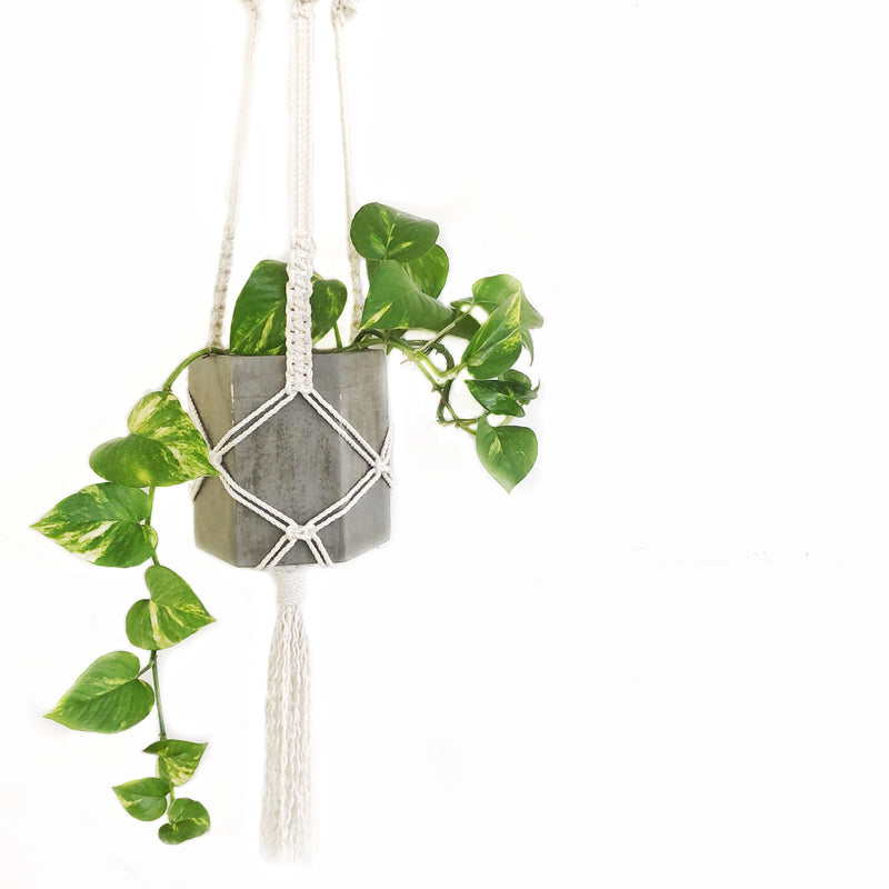 Beginner Friendly "Plant Hanger" Pattern